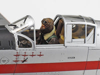 1/48 Tamiya Kawasaki Ki-61-Id Hien (Tony) 61115 - MPM Hobbies