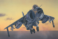 1/72 Italeri FRS.1 Sea Harrier 1236 - MPM Hobbies