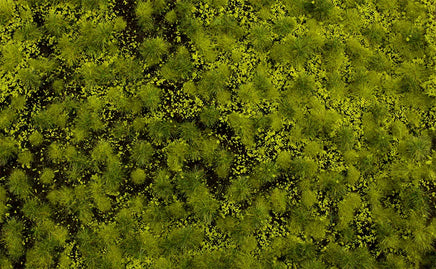 Bachmann Light Green Tufted Grass Mat 32921 - MPM Hobbies
