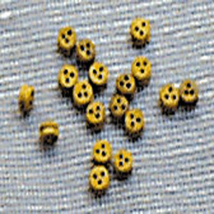 Model Shipways - 15mm Boxwood Deadeye 40 pcs - 2314 - MPM Hobbies