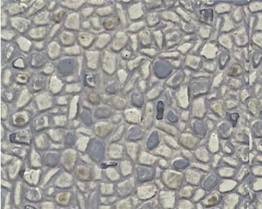 HO Plastruct Random Stone Sheet (PS-73 / 2 Pack) 91581 - MPM Hobbies