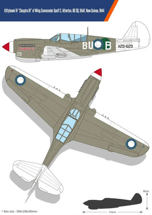 1/48 Academy USAAF P-40N "Battle of Imphal" 12341 - MPM Hobbies
