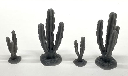O Phoenix Precision Other Cactus Assortment 33569