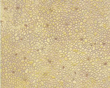 N Plastruct Random Polished Stone Sheet (PS-76 / 2 Pack) 91584 - MPM Hobbies