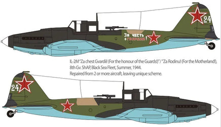 1/72 Academy IL-2M & Panther D 12538