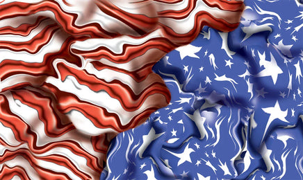 PineCar Body Skin - Freedom Flag 3980