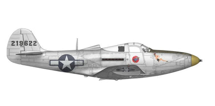 1/48 Arma Hobby P-39 Airacobra RECON - MPM Hobbies