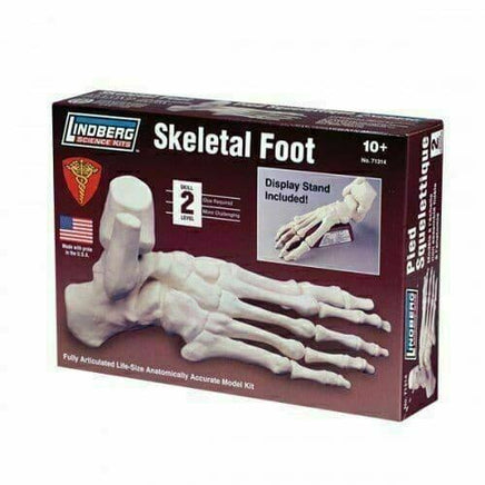 Lindberg Skeletal Foot 71314 - MPM Hobbies