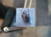 1/72 AGM-45 Shrike Missile (Set of 2) - MPM Hobbies