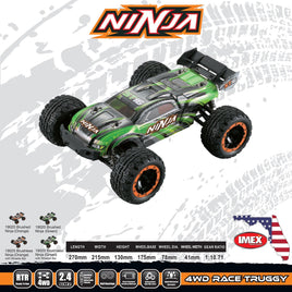 1/16 IMEX Ninja Brushed RTR 4WD Truggy - Green 19020G - MPM Hobbies