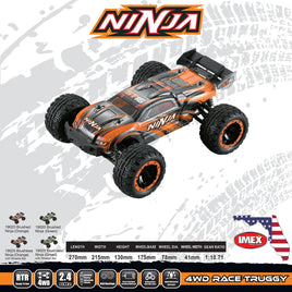1/16 IMEX Ninja Brushed RTR 4WD Truggy - Orange 19020O - MPM Hobbies
