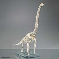 Bandai Plannosaurus Brachiosaurus Model Kit