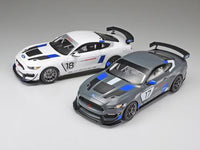 1/24 Ford Mustang GT4 24354