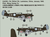 1/144 P-40N CACW 14th Air Force - AR144S02