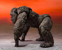 Bandai Kong From Movie Godzilla VS. Kong (2021) 60478