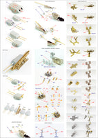 1/350 Pontos Model USS BB-34 New York 1944 Detail up set (Teak tone Deck) 35023FN