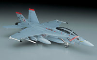 1/72 Hasegawa F/A-18F Super Hornet 0548