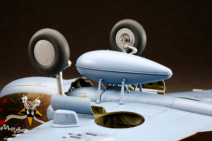 1/32 Hasegawa P-40E Warhawk 8879