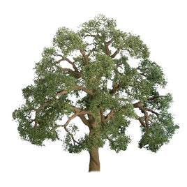 Z Scale JTT - Professional Trees: 1" Live Oak 6pcs - 94347