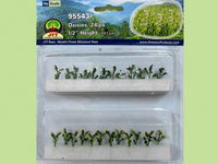 HO Scale JTT - Daisies 1/2" 24/pk - 95543
