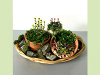 JTT - Magic Garden Craft Scene - 95702