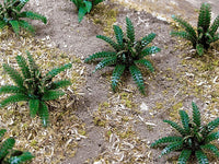 HO Scale JTT - Ferns 5/8" - 95533