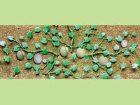 HO Scale JTT - Cantaloupe Patch 1-3/4" 6/pk - 95573