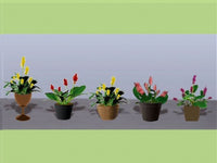 HO Scale JTT - Assorted Potted Flower Plants 3 - 95569