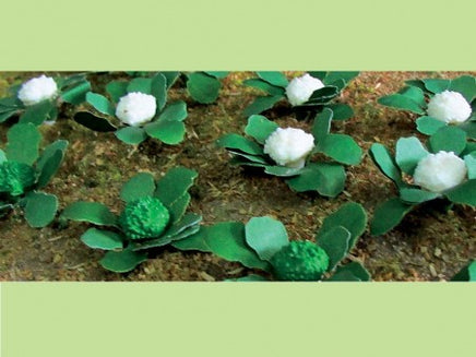 HO Scale JTT - Broccolis & Cauliflowers 3/8" 20/pk - 95529