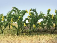 O Scale JTT - Daisies 7/8" 24/pk - 95544