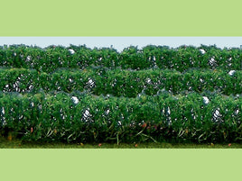 HO Scale JTT - Green Hedges - 95515