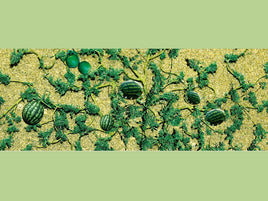 HO Scale JTT - Watermelon Patch 1-3/4" 6/pk - 95575