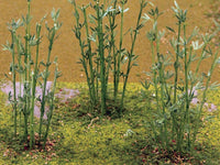 JTT - Bamboo 12/pk - 95600