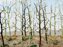 HO Scale JTT - Woods Edge Trees Bare - 95629