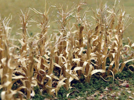 HO Scale JTT - Dried Corn Stalks 1" 30/pk - 95588