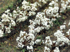 HO Scale JTT - Cotton Plants 1/2" 40/pk - 95590