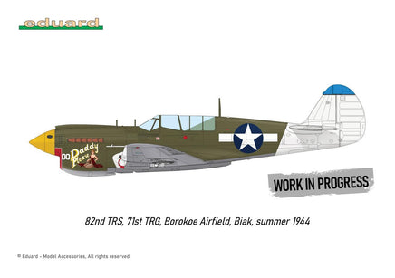 1/48 Eduard P-40N Warhawk Royal Class Plastic Model Kit R0025