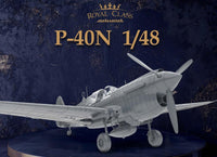 1/48 Eduard P-40N Warhawk Royal Class Plastic Model Kit R0025