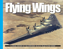 David Doyle Visual History Flying Wings VH-FW