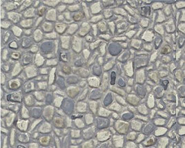 HO Plastruct Random Stone Sheet (PS-73 / 2 Pack) 91581 - MPM Hobbies
