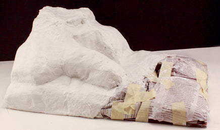 Woodland Plaster Cloth SP4140