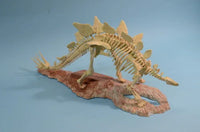 1/25 Glencoe Stegosaurus Skeleton 07907