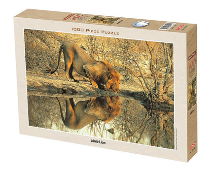 Tomax Puzzles Male Lion 1000pc 100-148