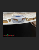 Green Strawberry Combo Pack Miranda classlate version (dominion war) FP15