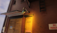 N Woodland Gooseneck Wall Mount Lights 5658