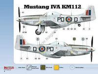 Kagero Publishing 1/48 Mustangs Over Europe Part 1. Nos. 303 & 309 Book 48003