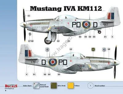 Kagero Publishing 1/48 Mustangs Over Europe Part 1. Nos. 303 & 309 Book 48003