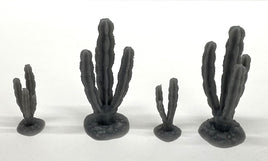 O Phoenix Precision Other Cactus Assortment 33569