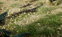 Woodland Game Terrain Gravel - Natural 6532 - MPM Hobbies