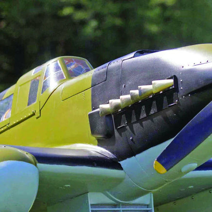 Close-up of a green and blue airplane with a blurred green background